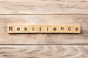 Supply chain resilience: hype or lifestyle?